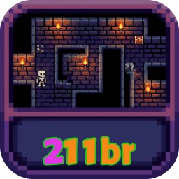 211br